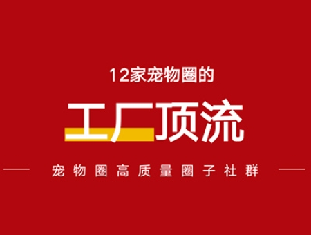 宠物食品代工厂转型案例解析：从OEM到自主品牌与智能生产应用