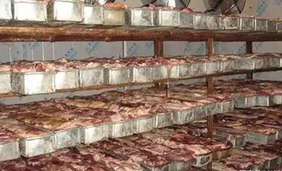 宠物冻干OEM贴牌生产全流程与避坑指南